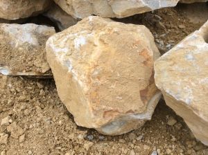 Bobcat Boulders