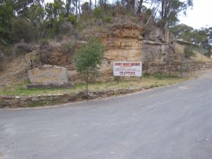 IMG 0298