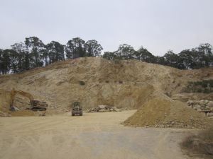 IMG 0299